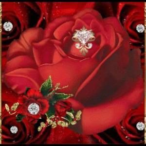 Meet your Posher, Lesley